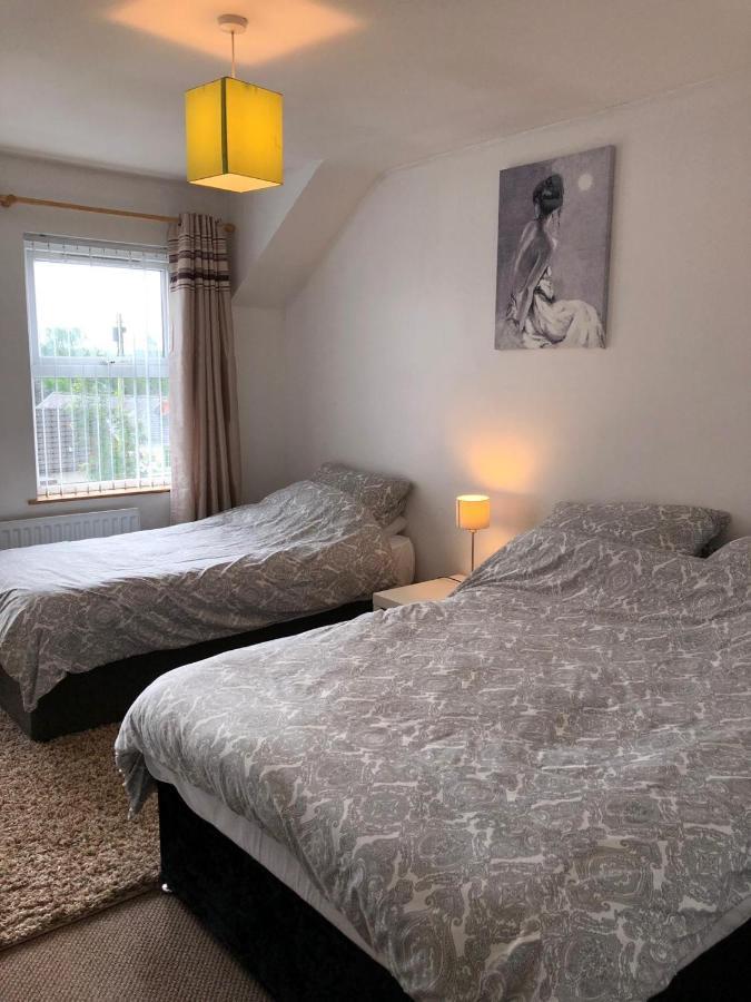 Glendona Lodge Glenavy 외부 사진